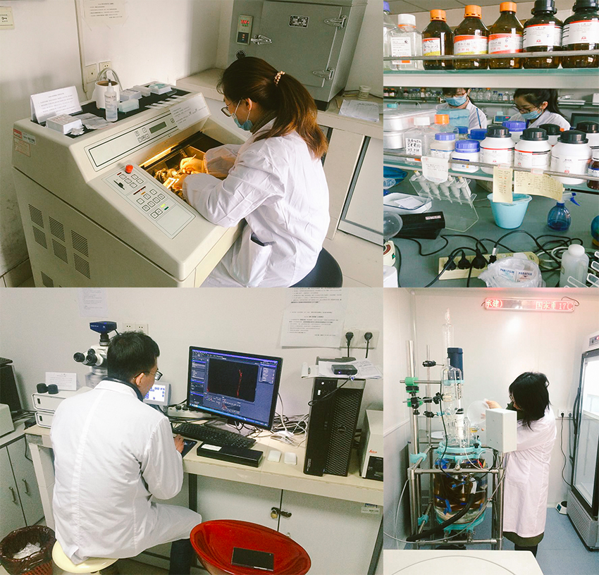 未标题-1 拷贝.jpg