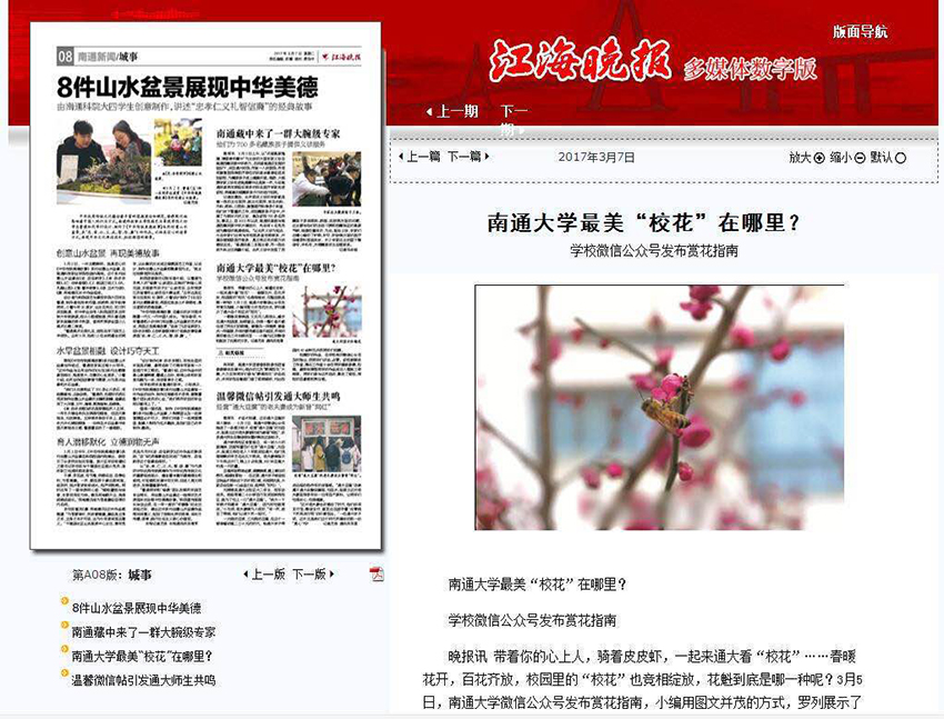 江海晚报-花.jpg